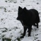 Este es tinto un dia de nieve.